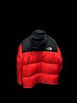 Giubbino The North Face 700